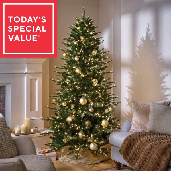 Today’s Special Value®