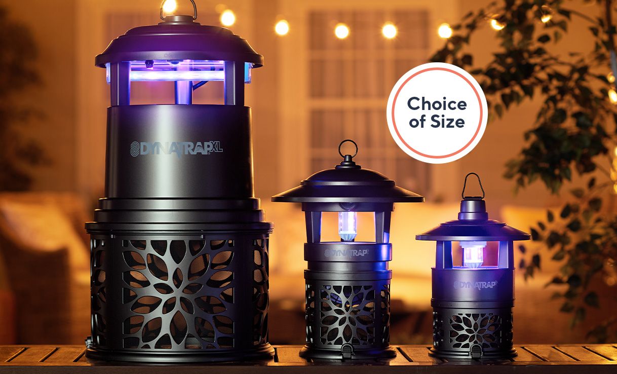 (QVC) DynaTrap XL Insect Trap W/ UV LED Bulb & Easy Disposal Release