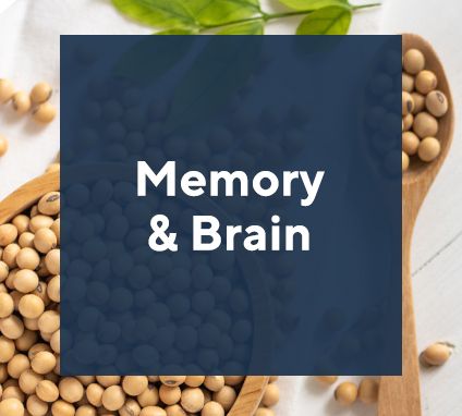 Memory & Brain