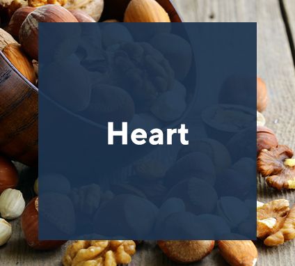 Heart & Cardiovascular