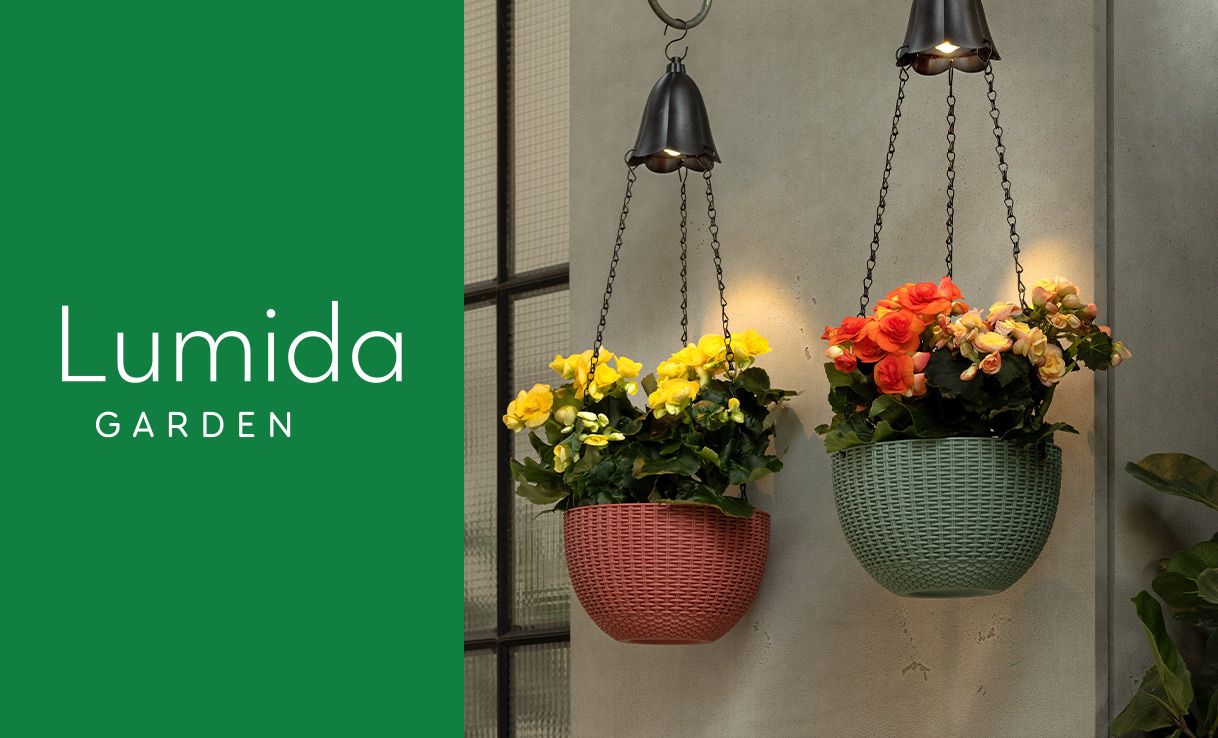 LUMIDA Garden LED- & Solar-Deko online bestellen - QVC.de