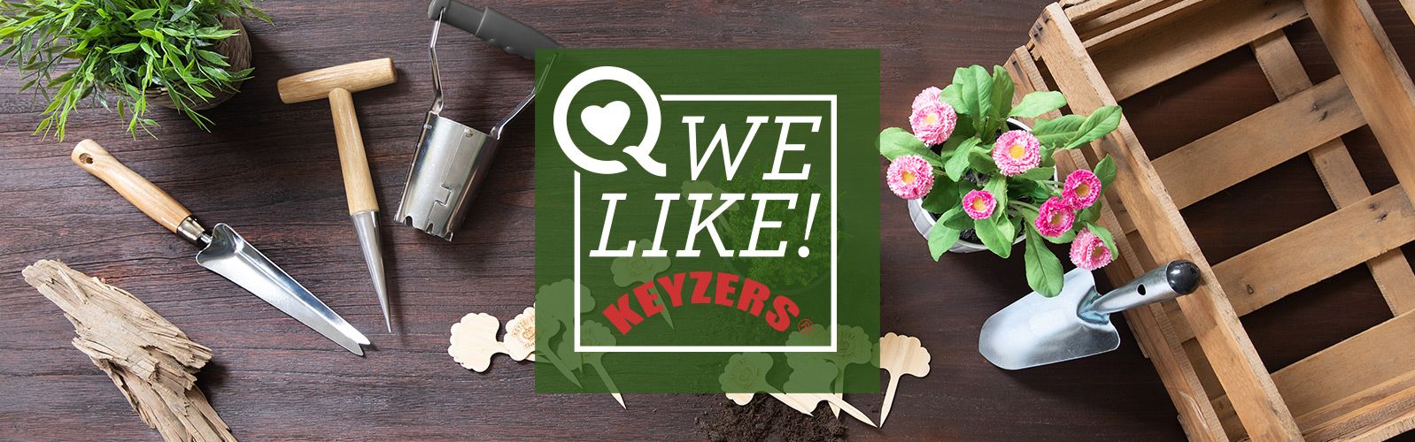 KEYZERS besondere Pflanzen und Blumen online kaufen QVC.de