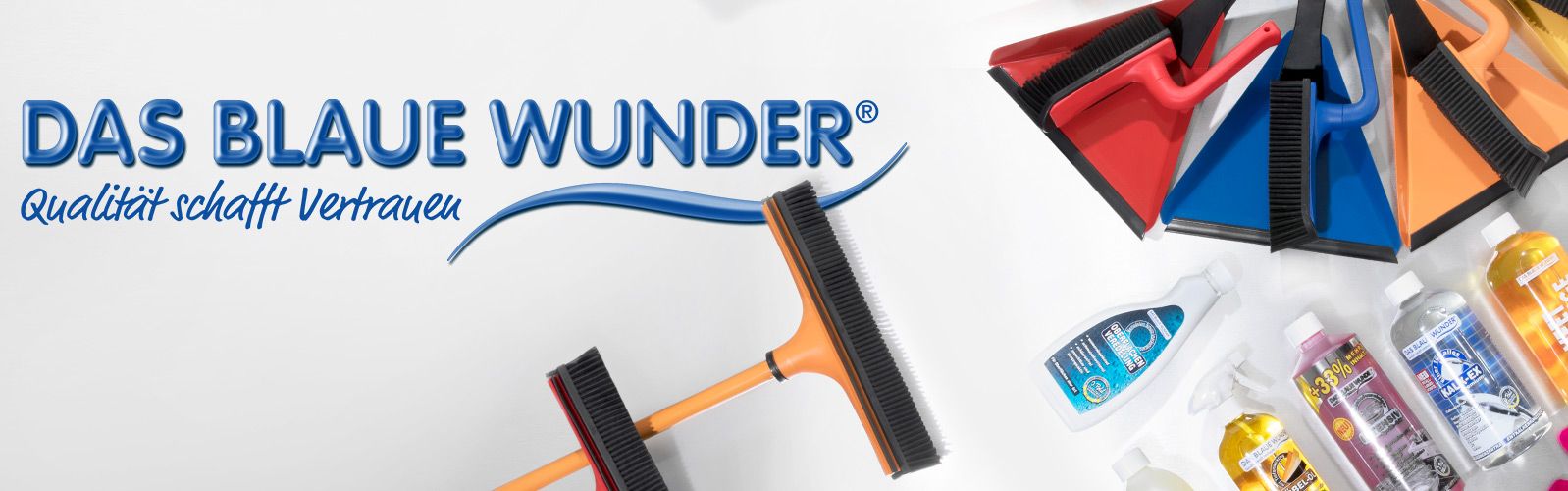 DAS BLAUE WUNDER® Reinigungsmittel online kaufen QVC.de