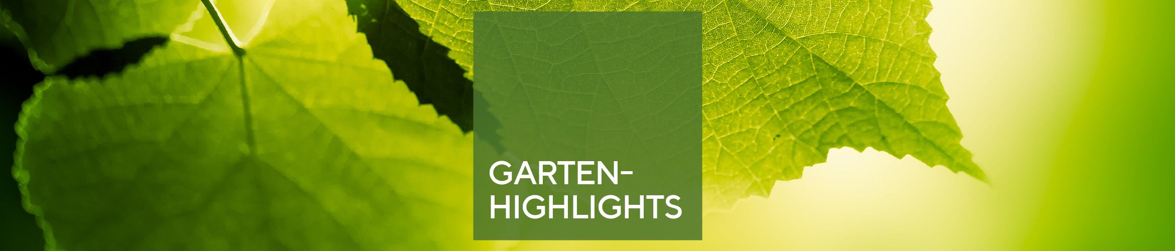 Garten-Highlights