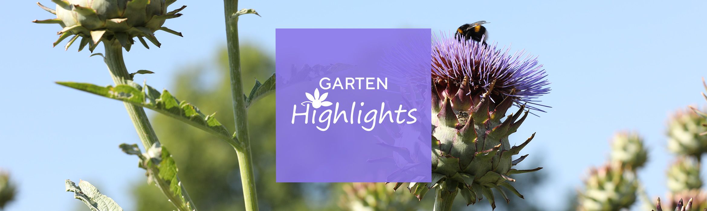 garten highlights