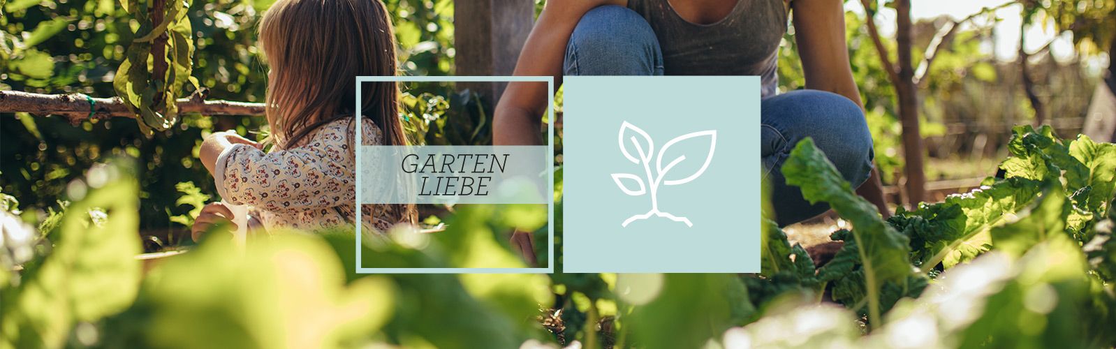 Gartenliebe Alles für den Garten online bestellen QVC.de