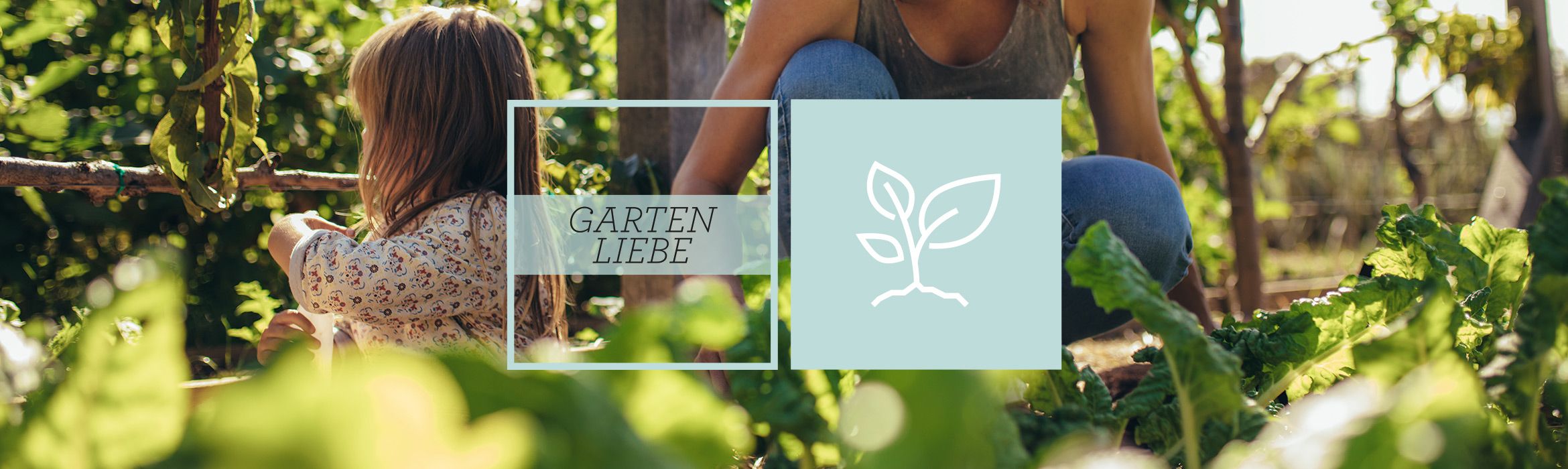 Gartenliebe Alles für den Garten online bestellen QVC.de