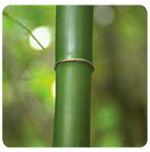 Fibra di Bamboo