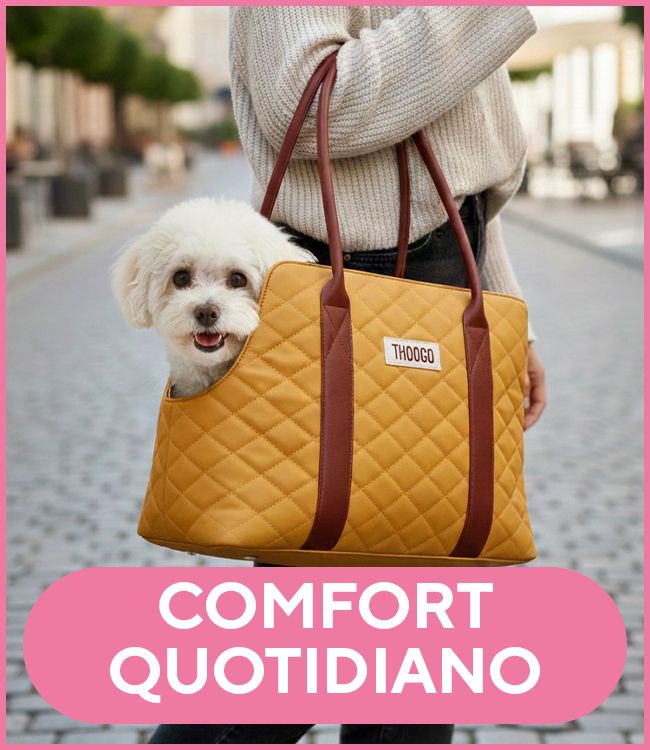 Comfort quotidiano