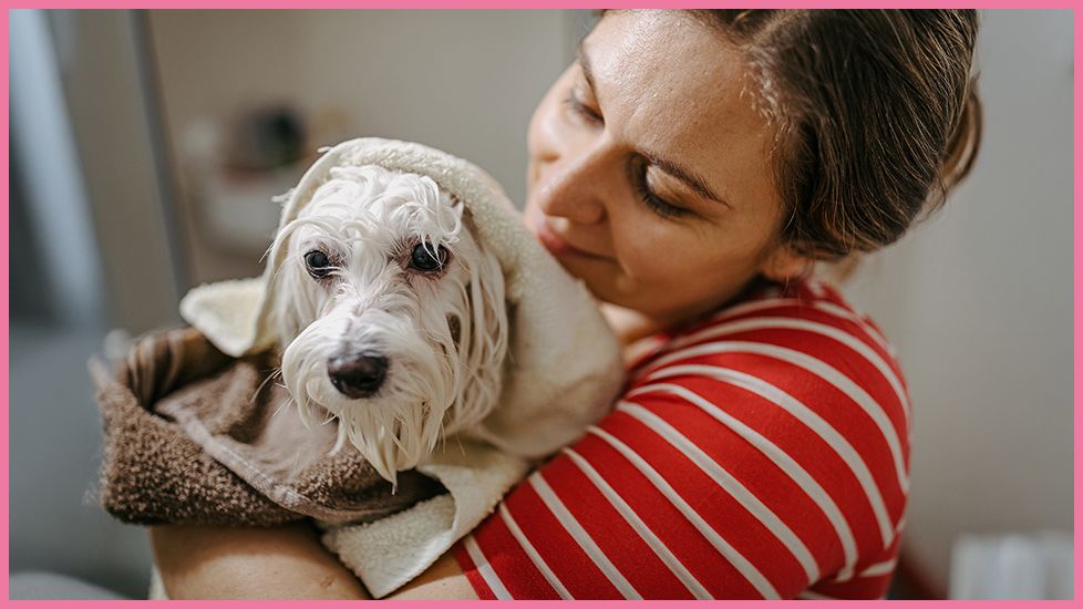 Igiene e toelettatura