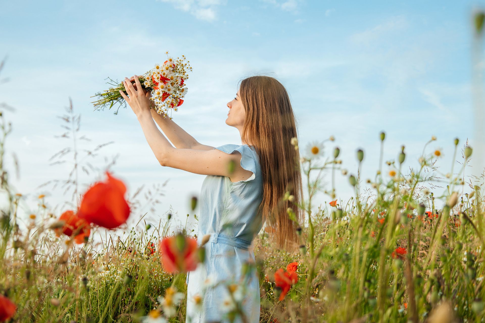 Mid season sales: moda