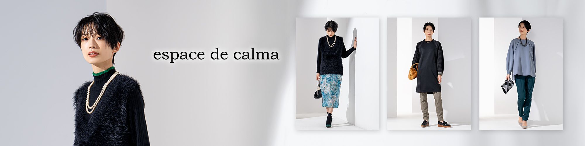 エスパスデカルマLSI