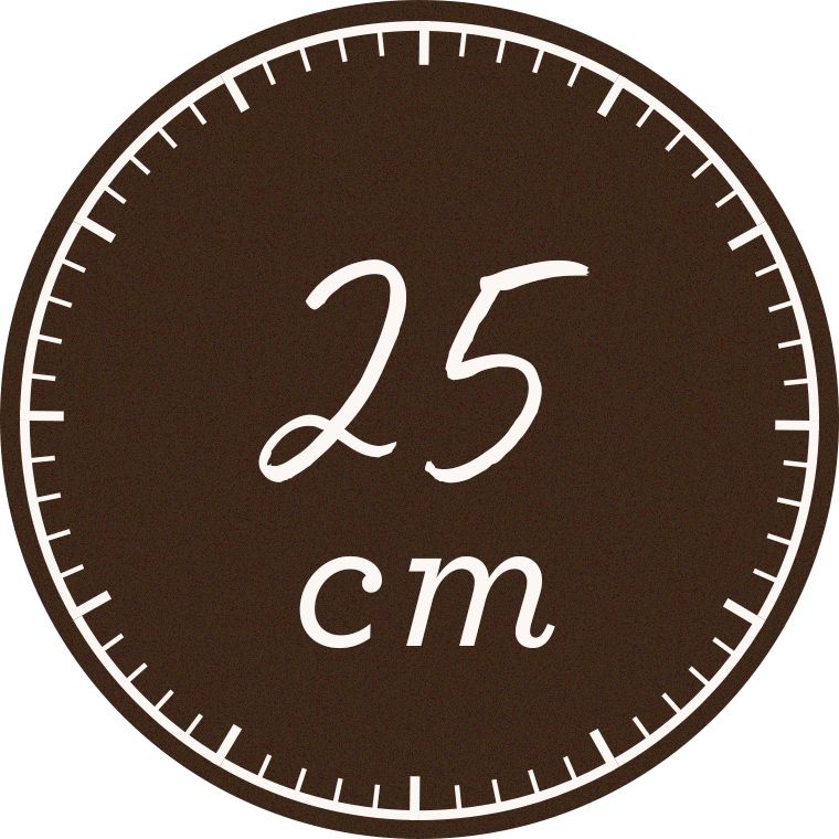 25cm