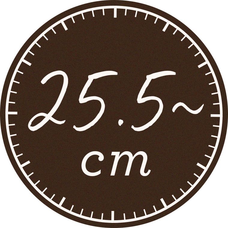25.5~cm
