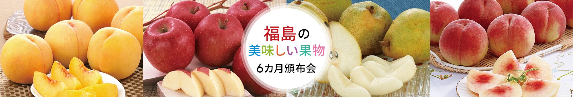 福島のおいしい柑橘6ヵ月頒布会