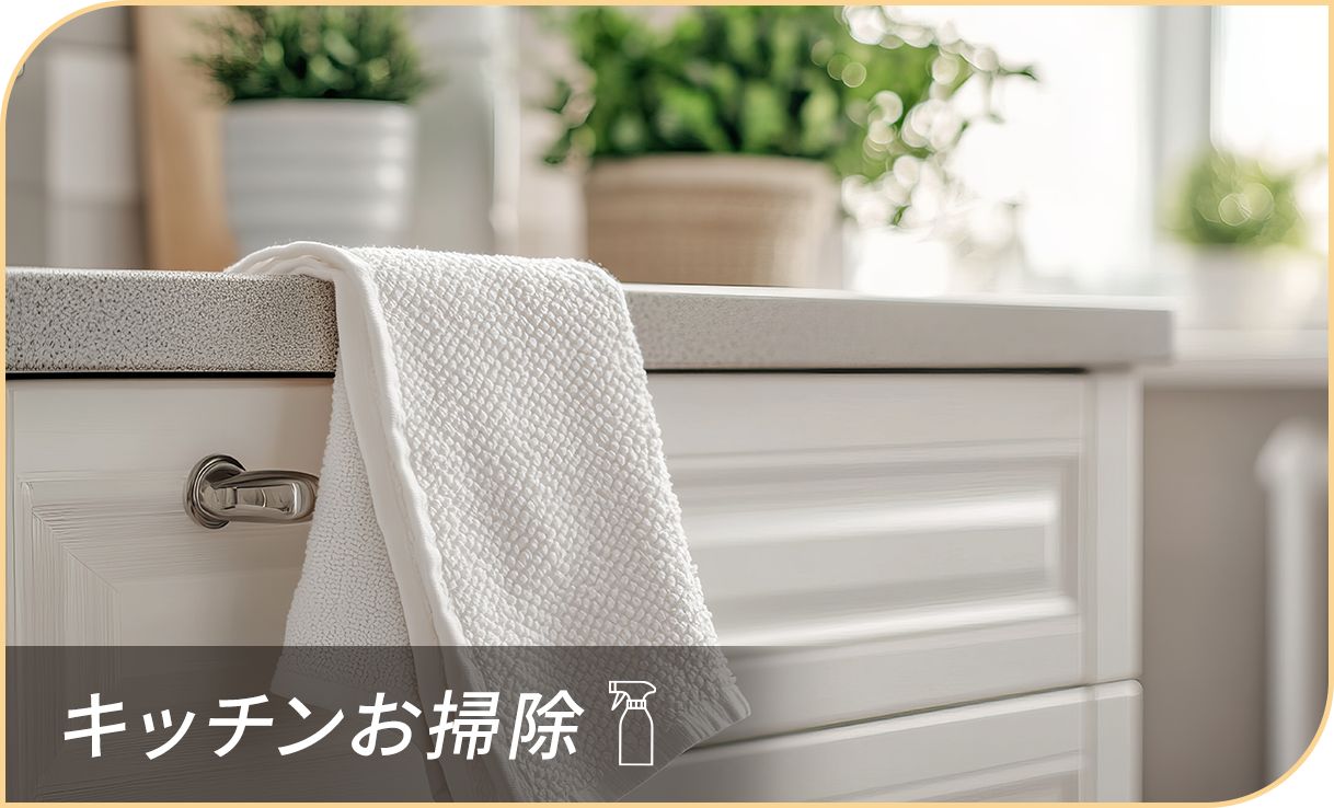 キッチンお掃除グッズ