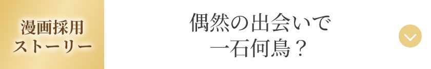 漫画採用ストーリー 偶然の出会いで一石何鳥？