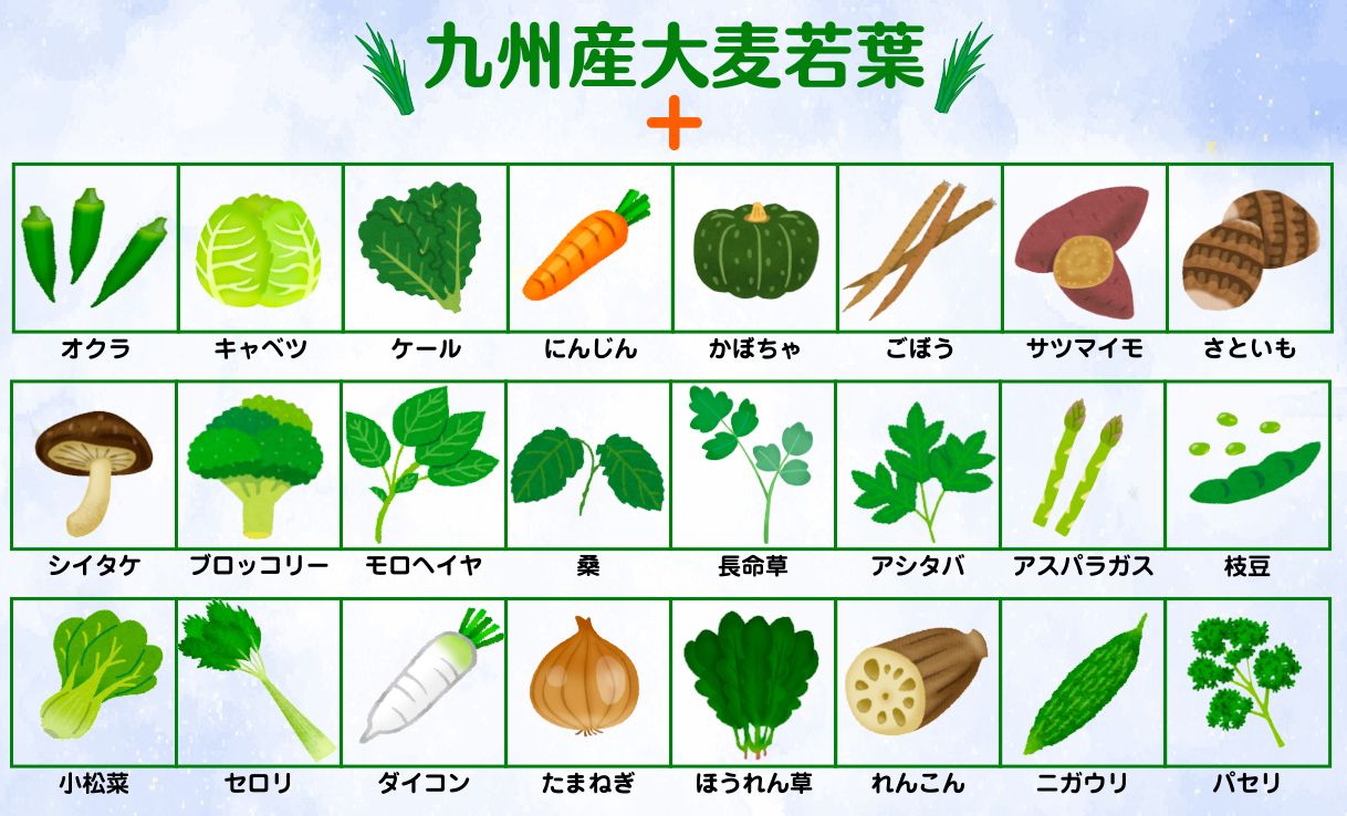 25種類の純国産野菜 ※粉末