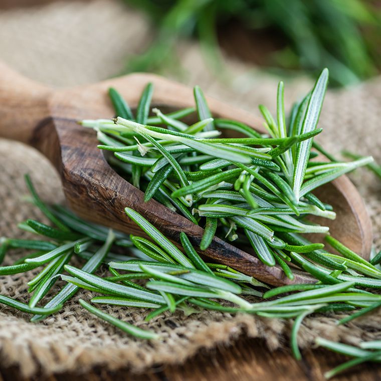 ローズマリー葉エキス