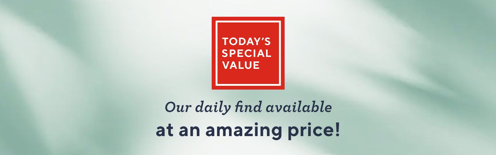 Today's Special Value