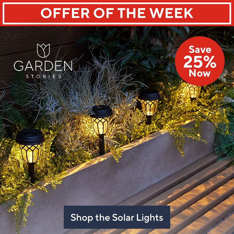 Offer of the Week Garden Stories Set of 10 Dual Function Stake Lights