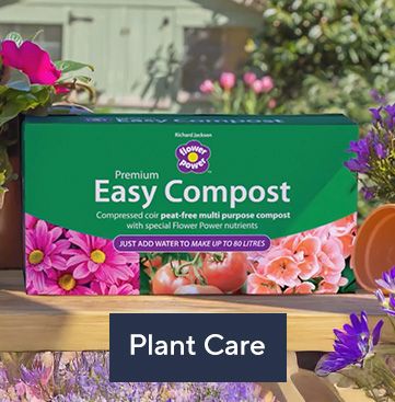 Plant care