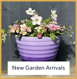 New Garden Arrivals