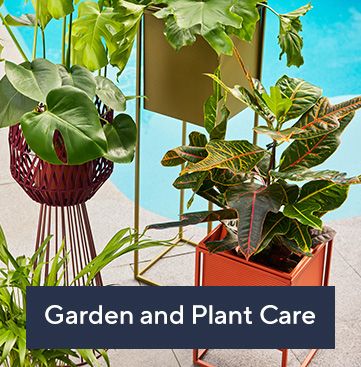 Garden Care and Plants