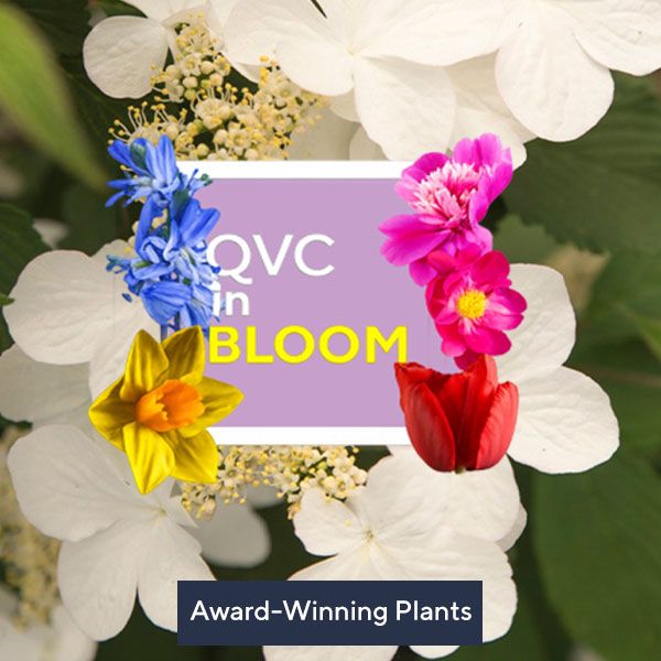 Award-winning plants