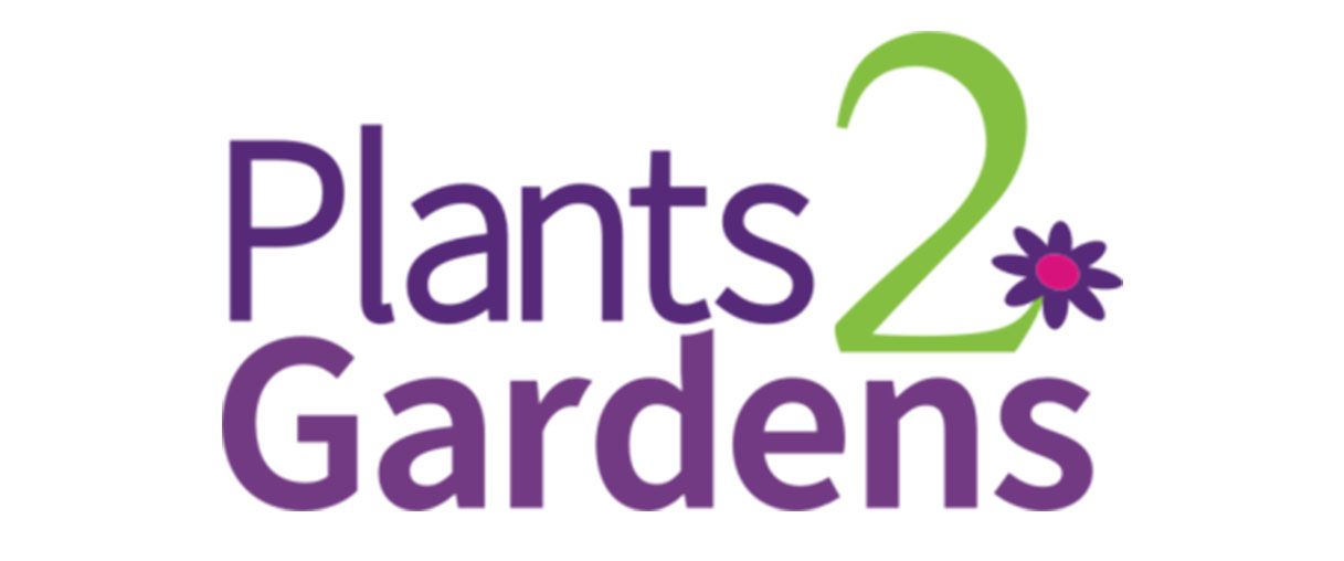 Plants2Gardens Peony Neon 3.5ltr - QVC UK