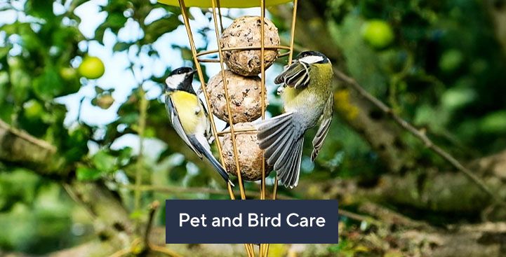 All pet & bird care