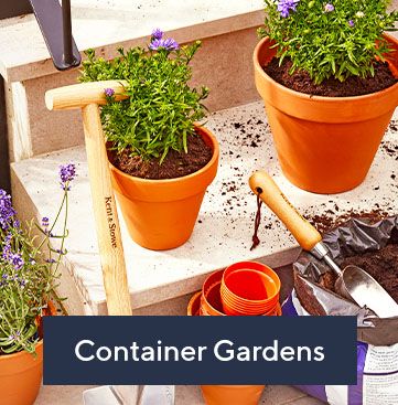 Container gardens