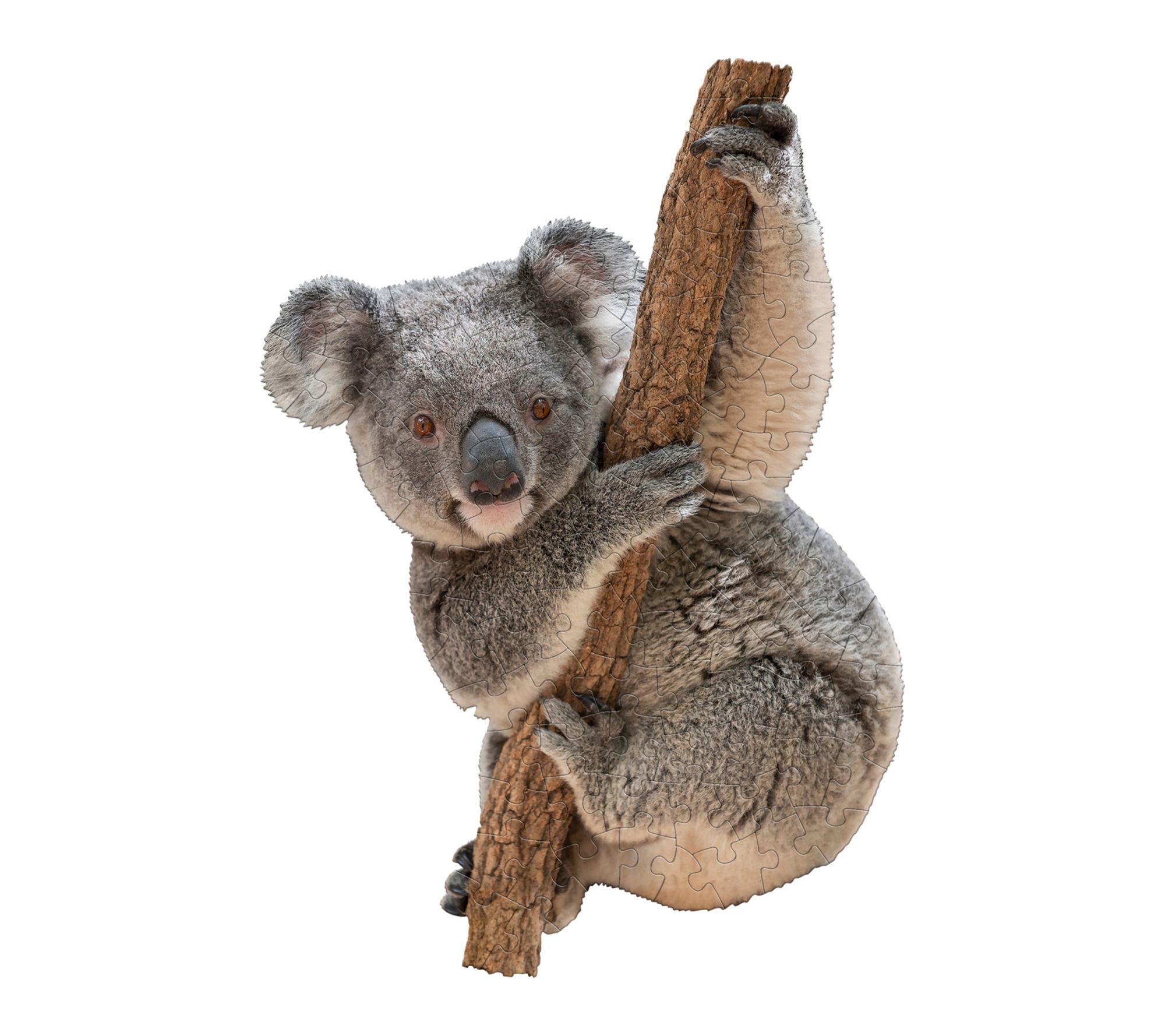 Madd Capp LiL' KOALA 100 Piece Jigsaw Puzzle