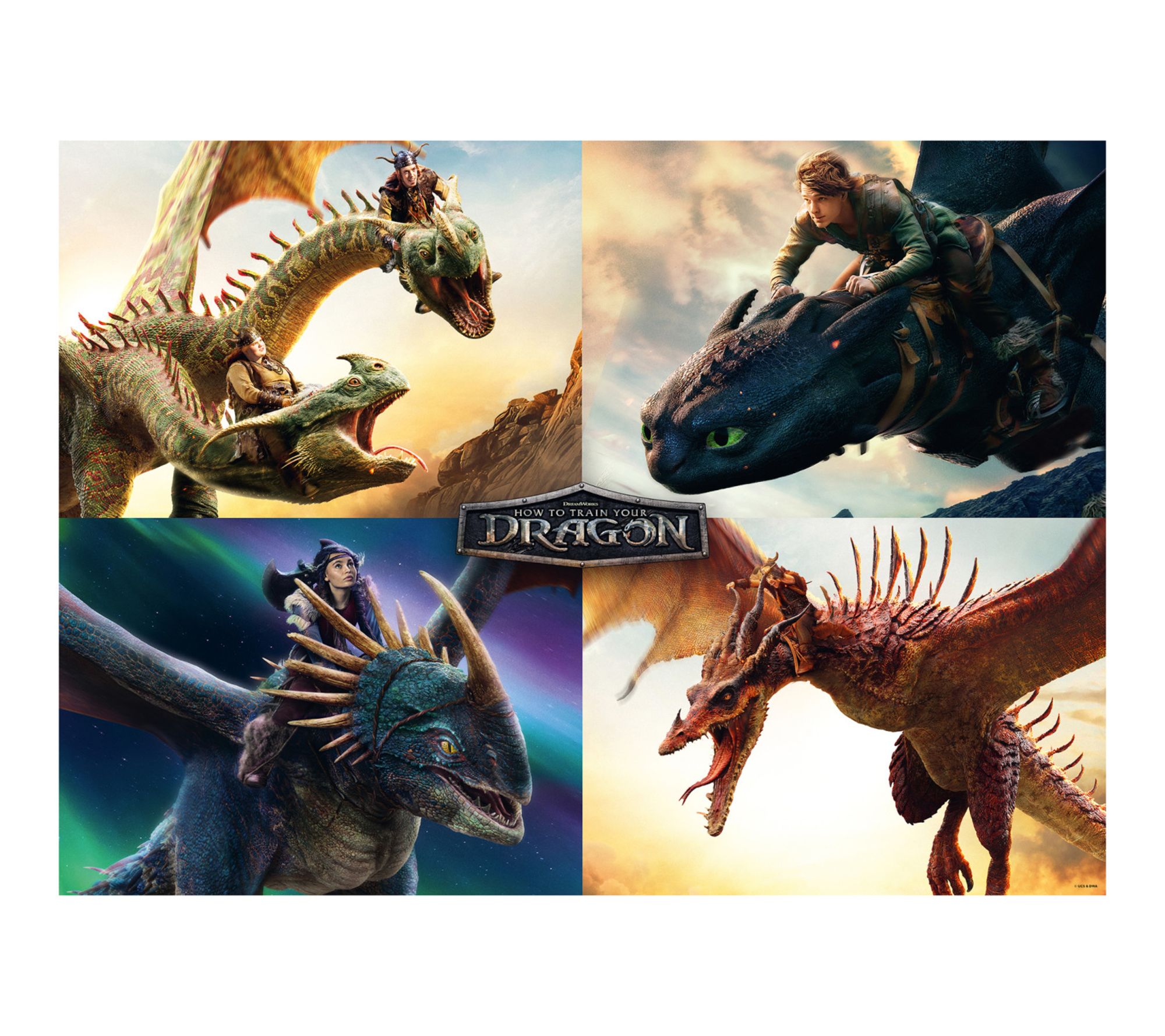 TEAMPUZZLE How to Train Your Dragon 600 piece Puzzle