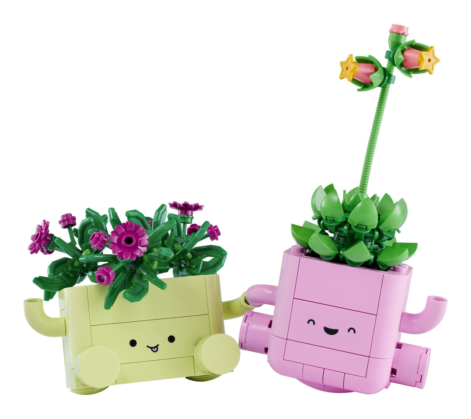LEGO Botanicals Rocking Plants 253 Pieces