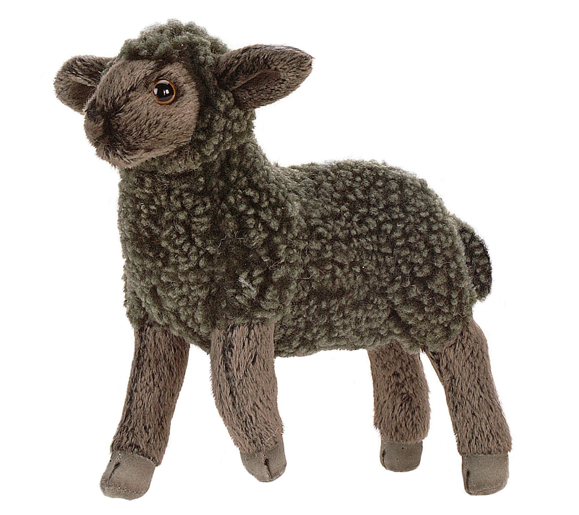 hansa lamb