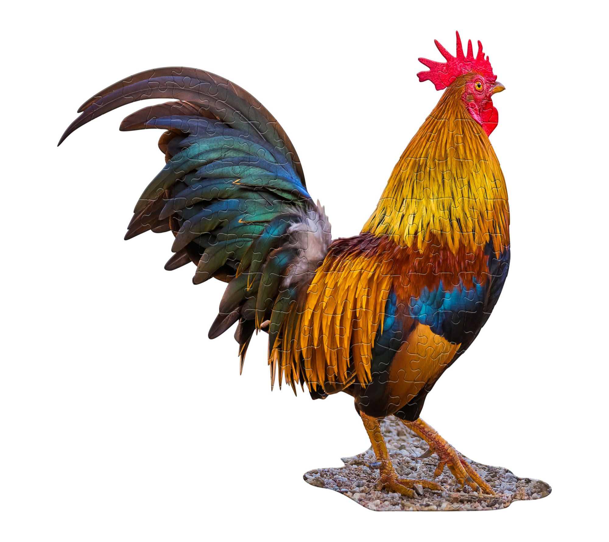 Madd Capp LiL' ROOSTER 100 Piece Jigsaw Puzzle