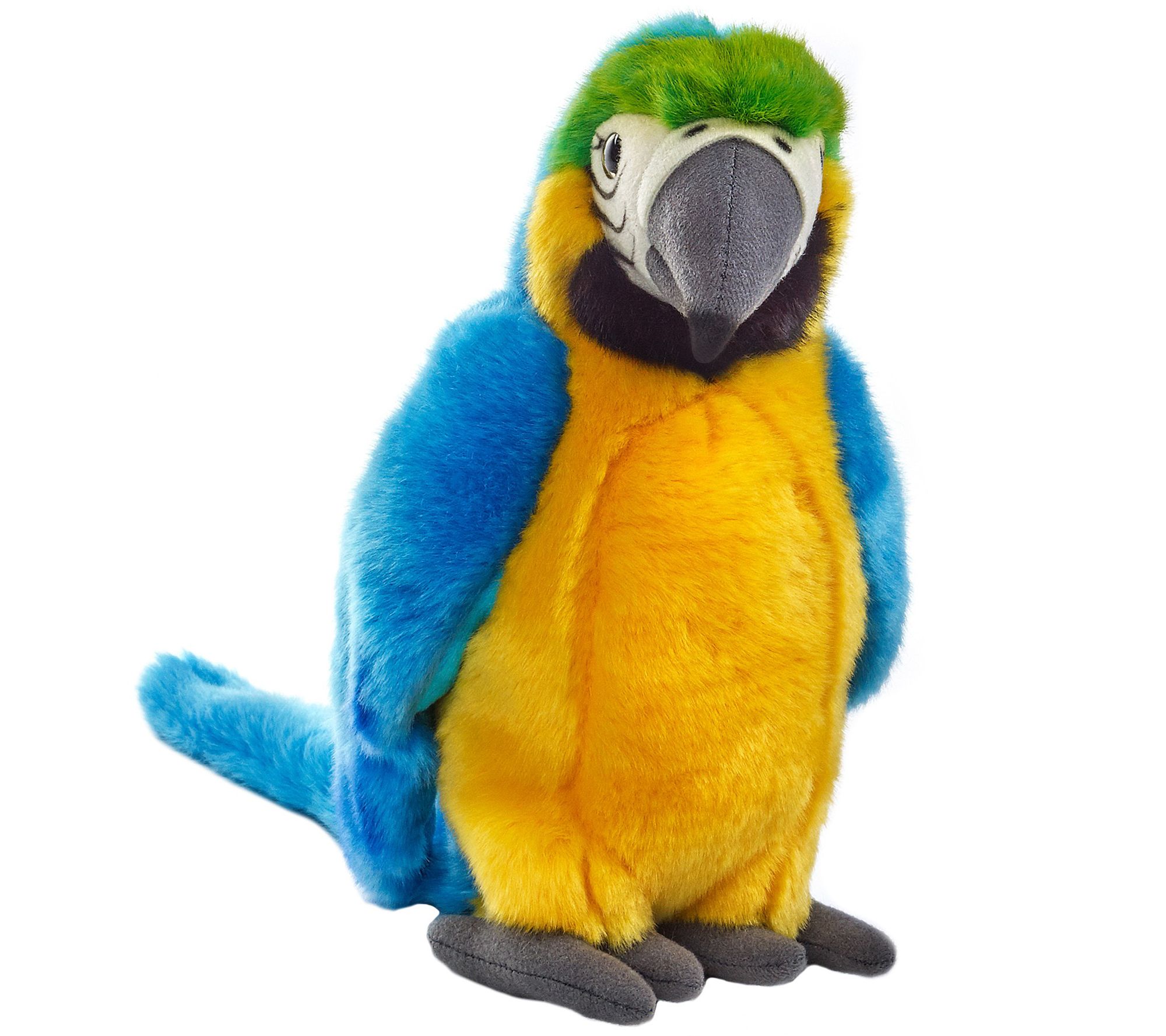 parrot plush