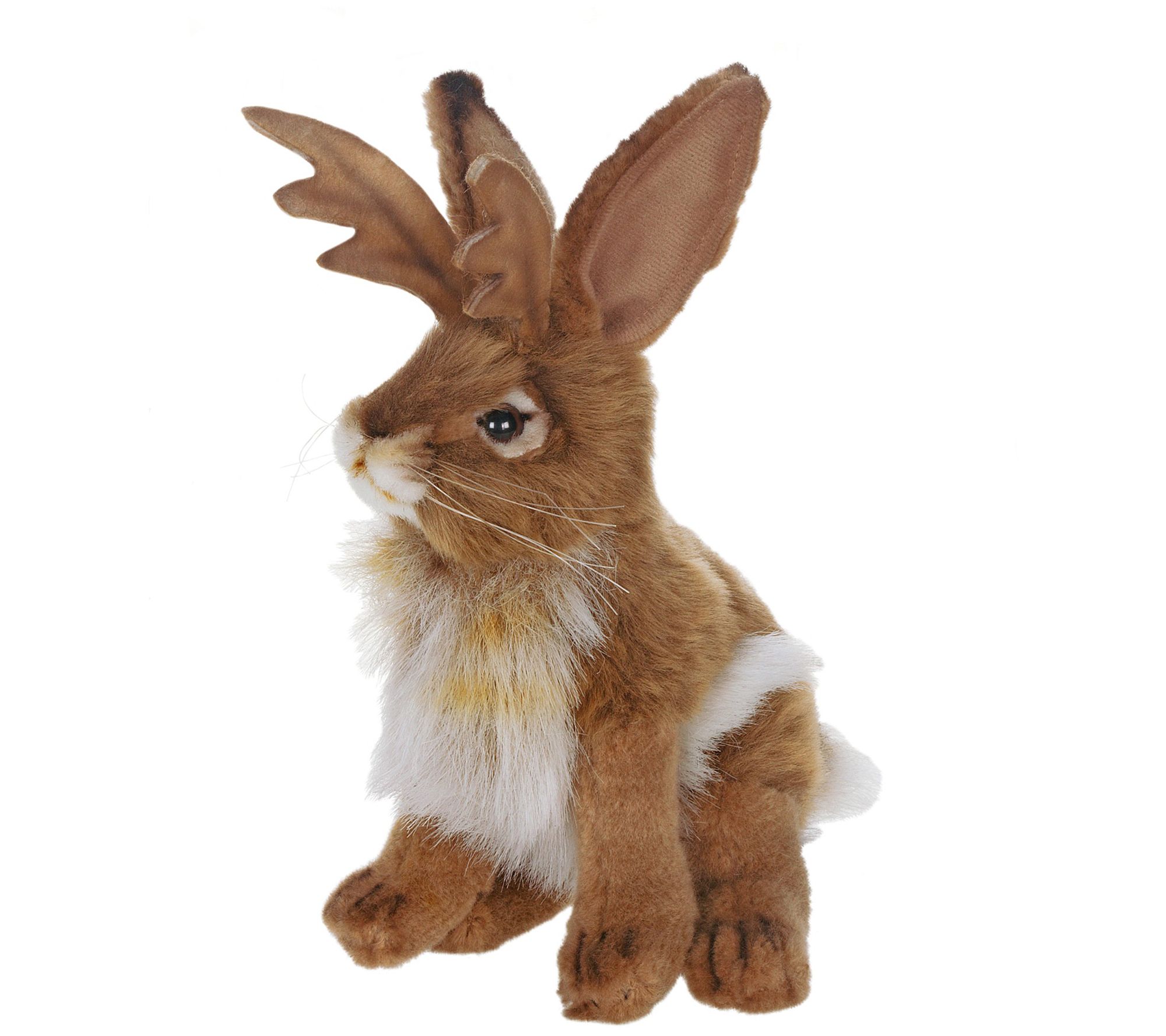 hansa jackalope