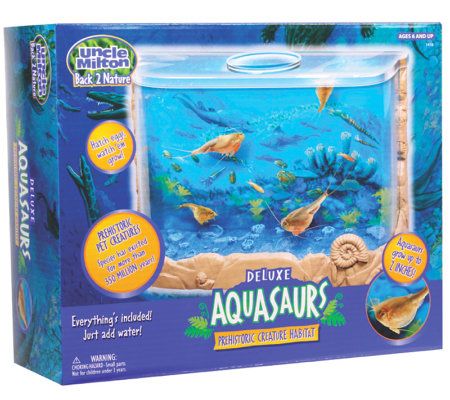 Deluxe Aquasaurs — QVC.com