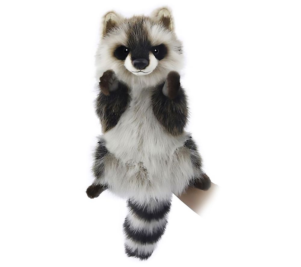 hansa raccoon