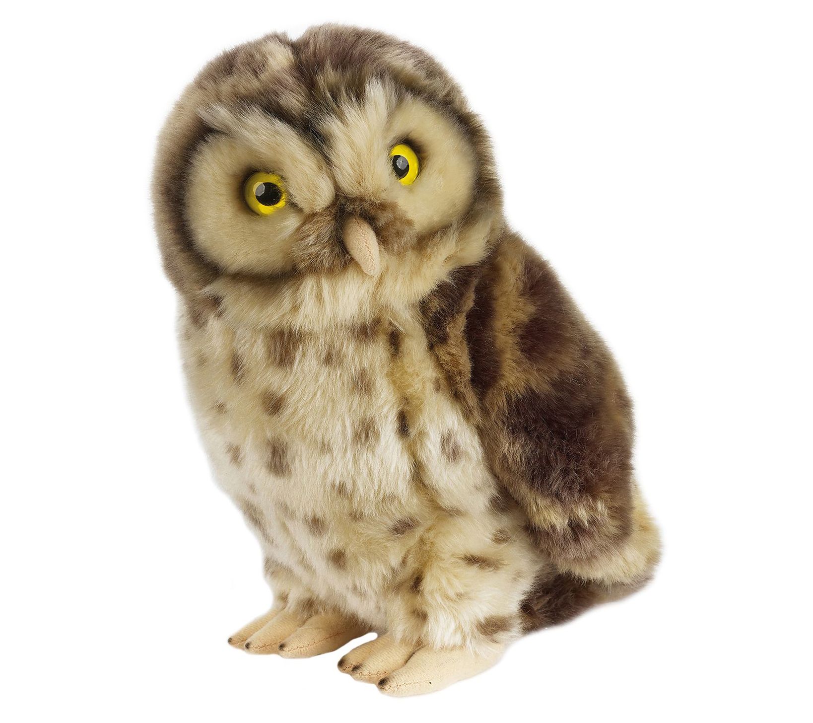 Home best sale monitoring owl