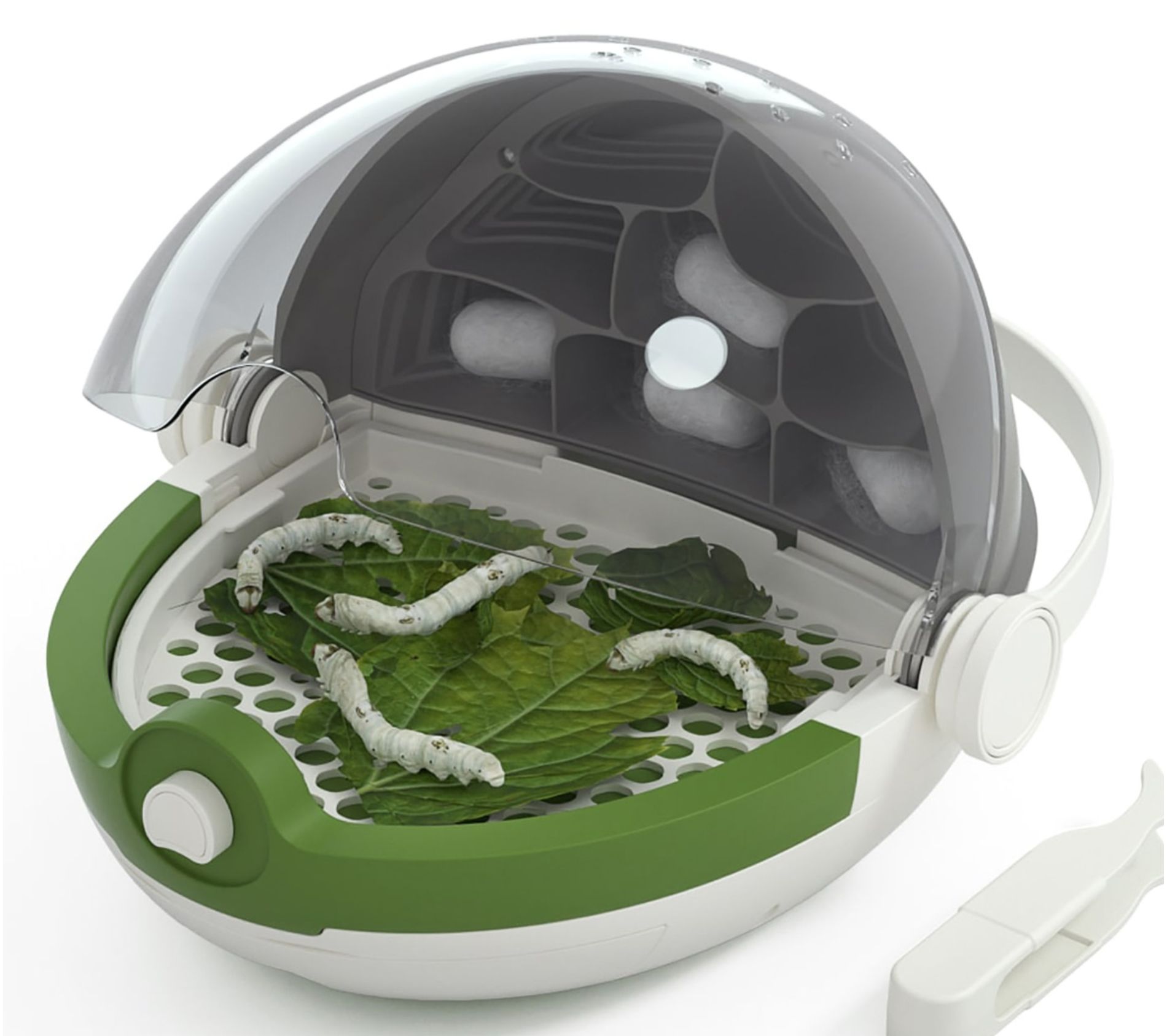 Science Can Insect Growth Station