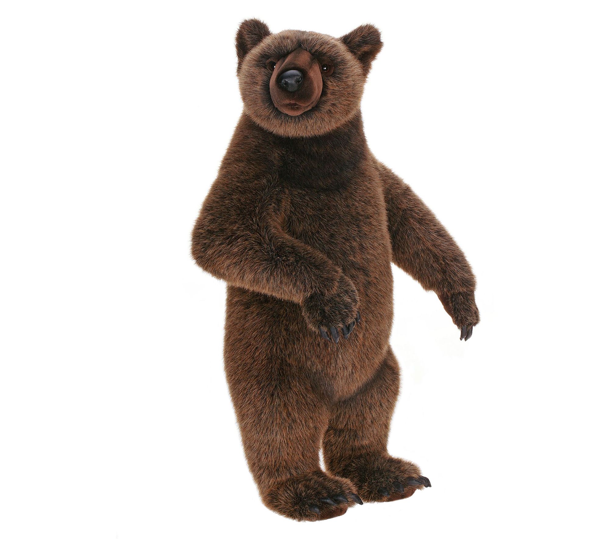 stuffed grizzly bear toy