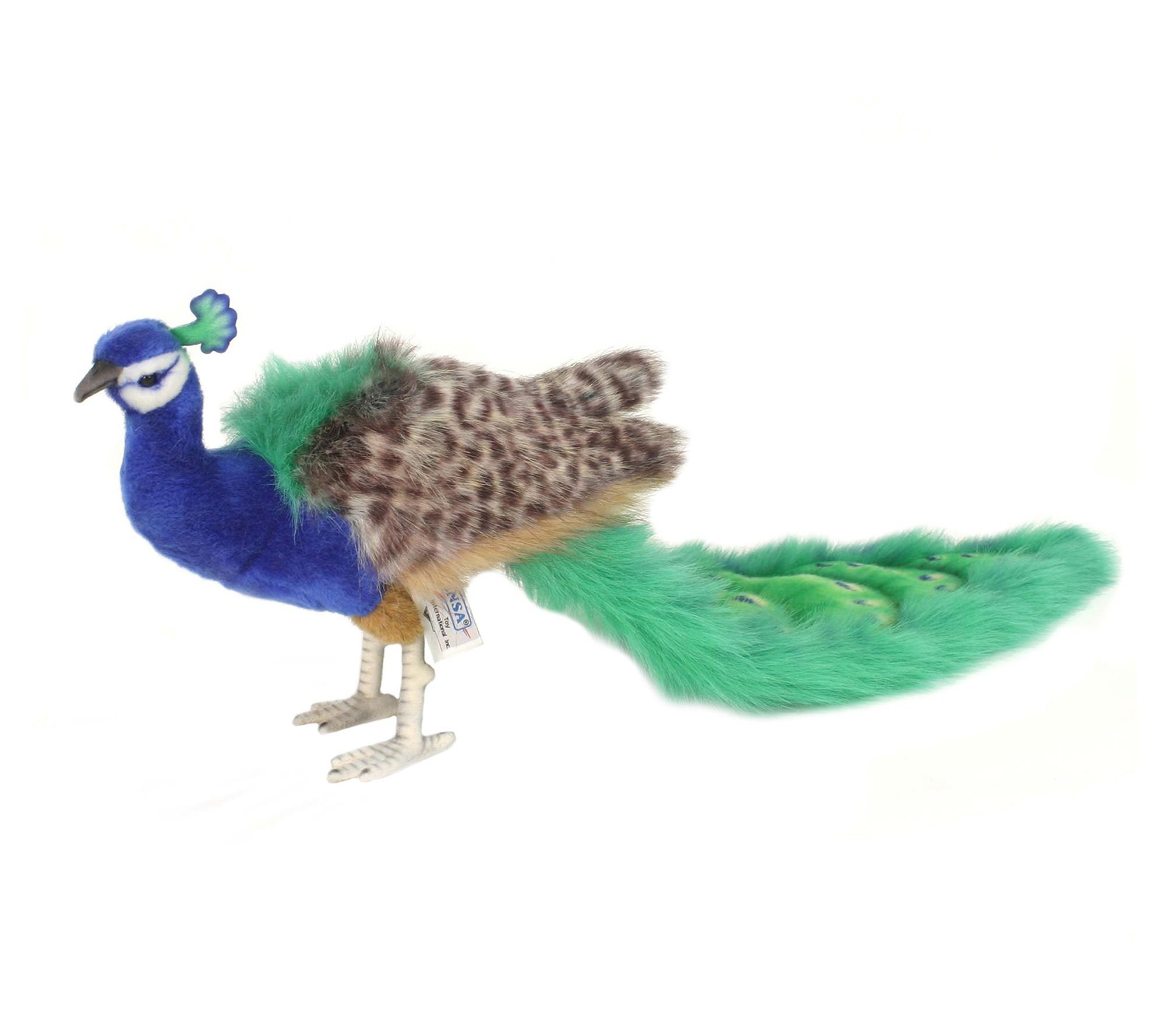 peacock plush