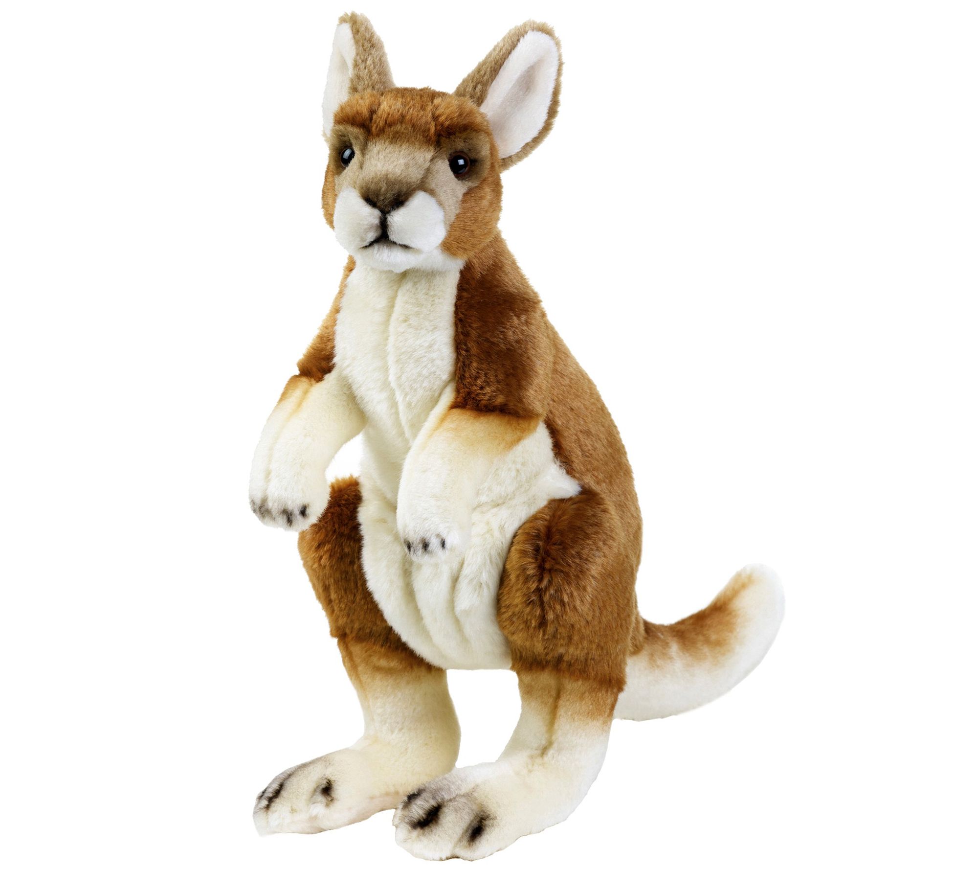 Lelly National Geographic Kangaroo Plush - QVC.com