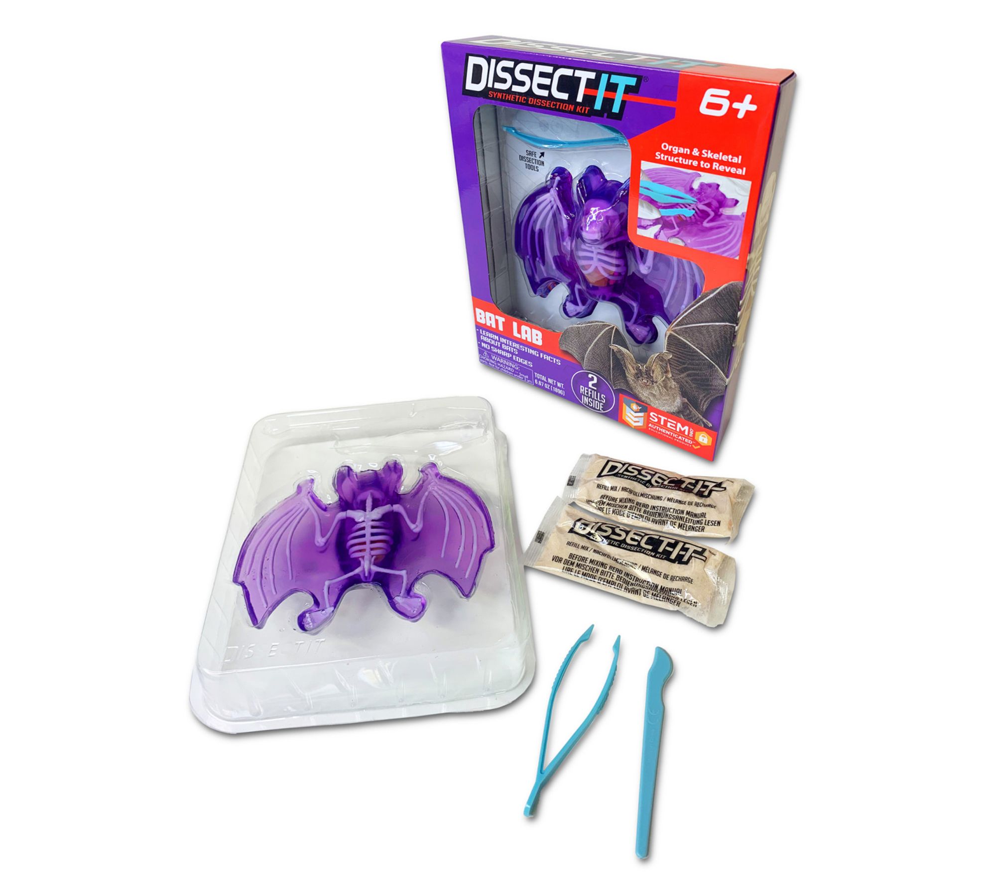 Dissect-It: Bat Lab - Synthetic Dissection Kit