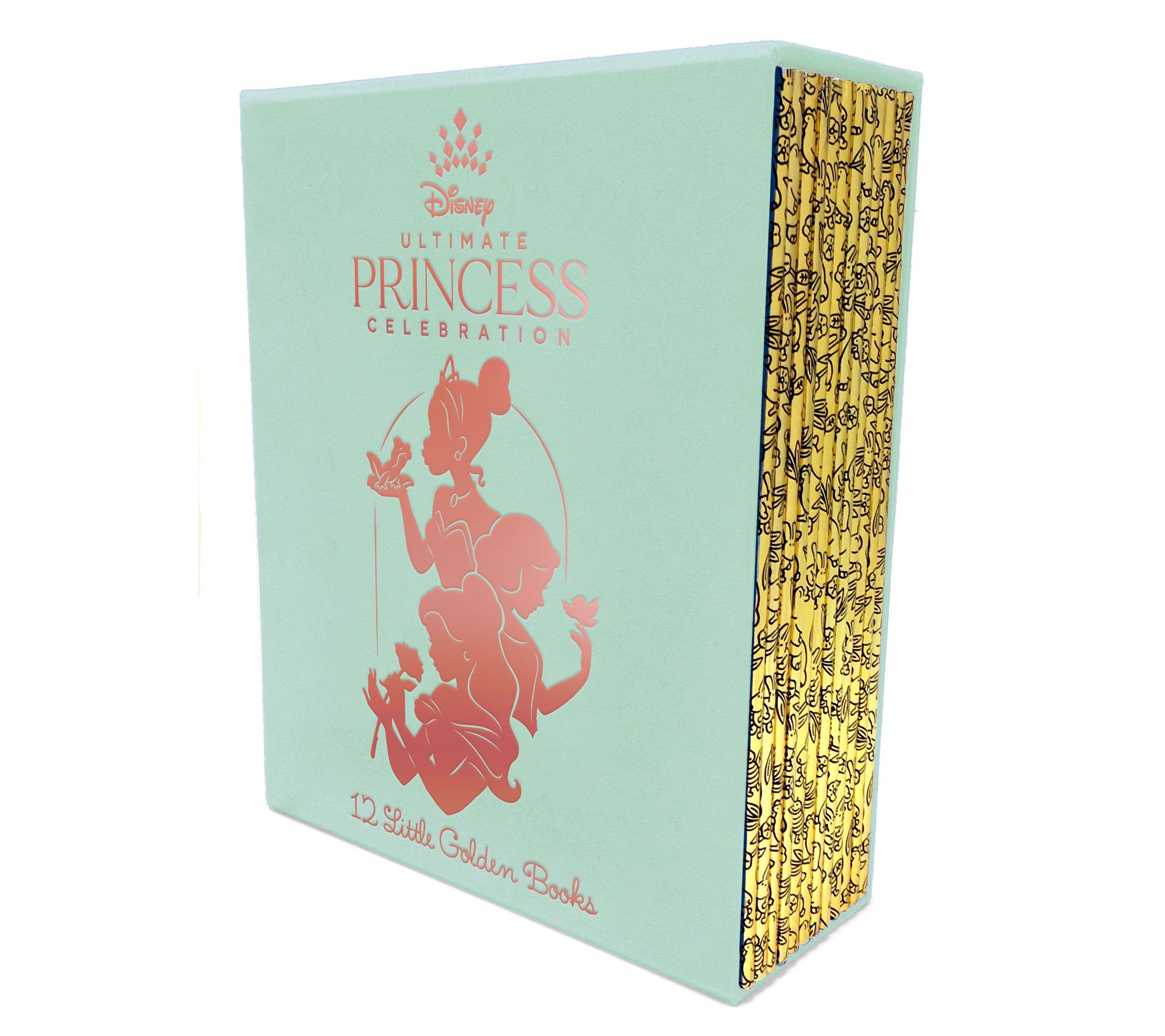 Ultimate Princess Boxed Set of 12 Disney LittleGolden Books