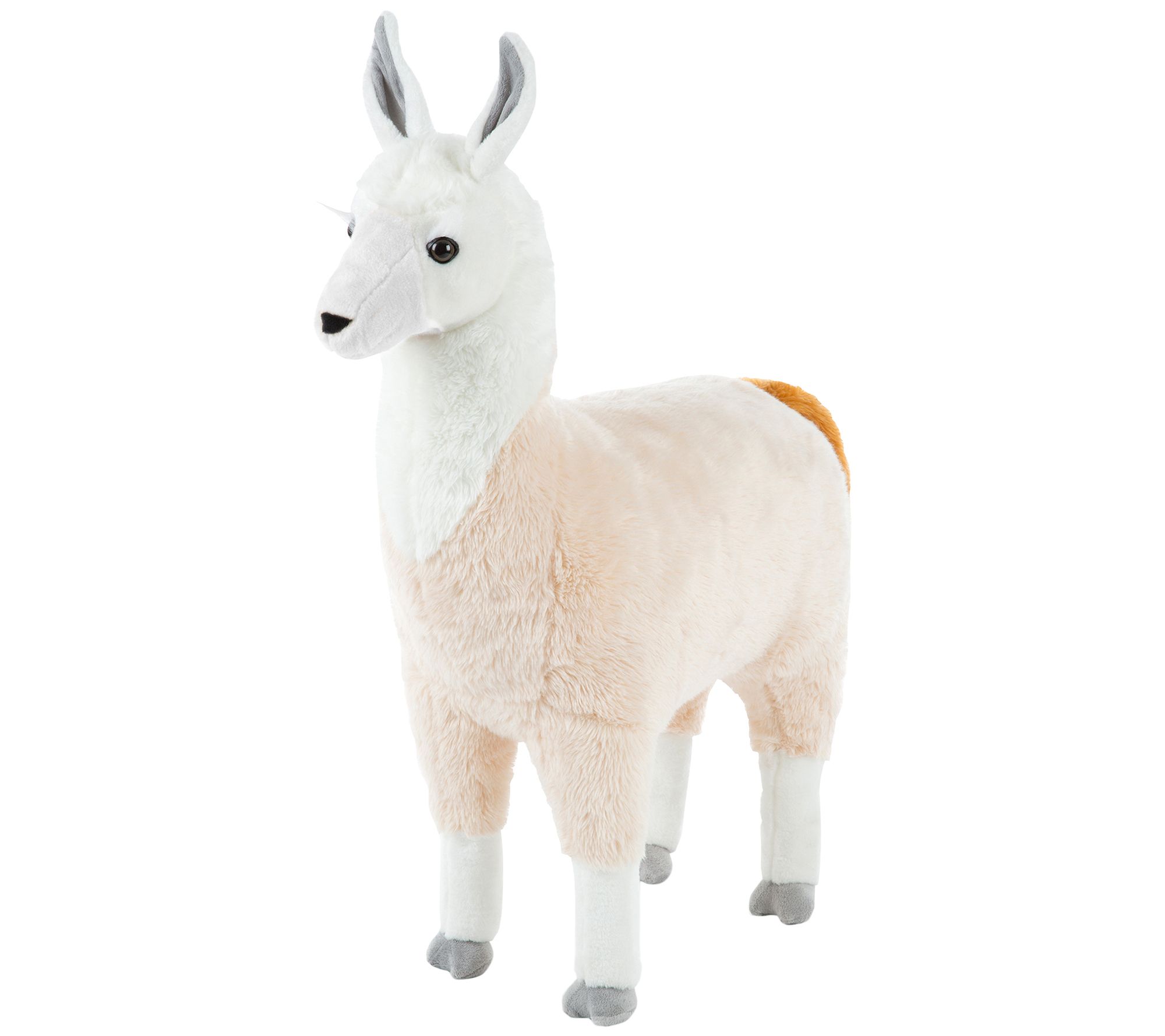 doug plush