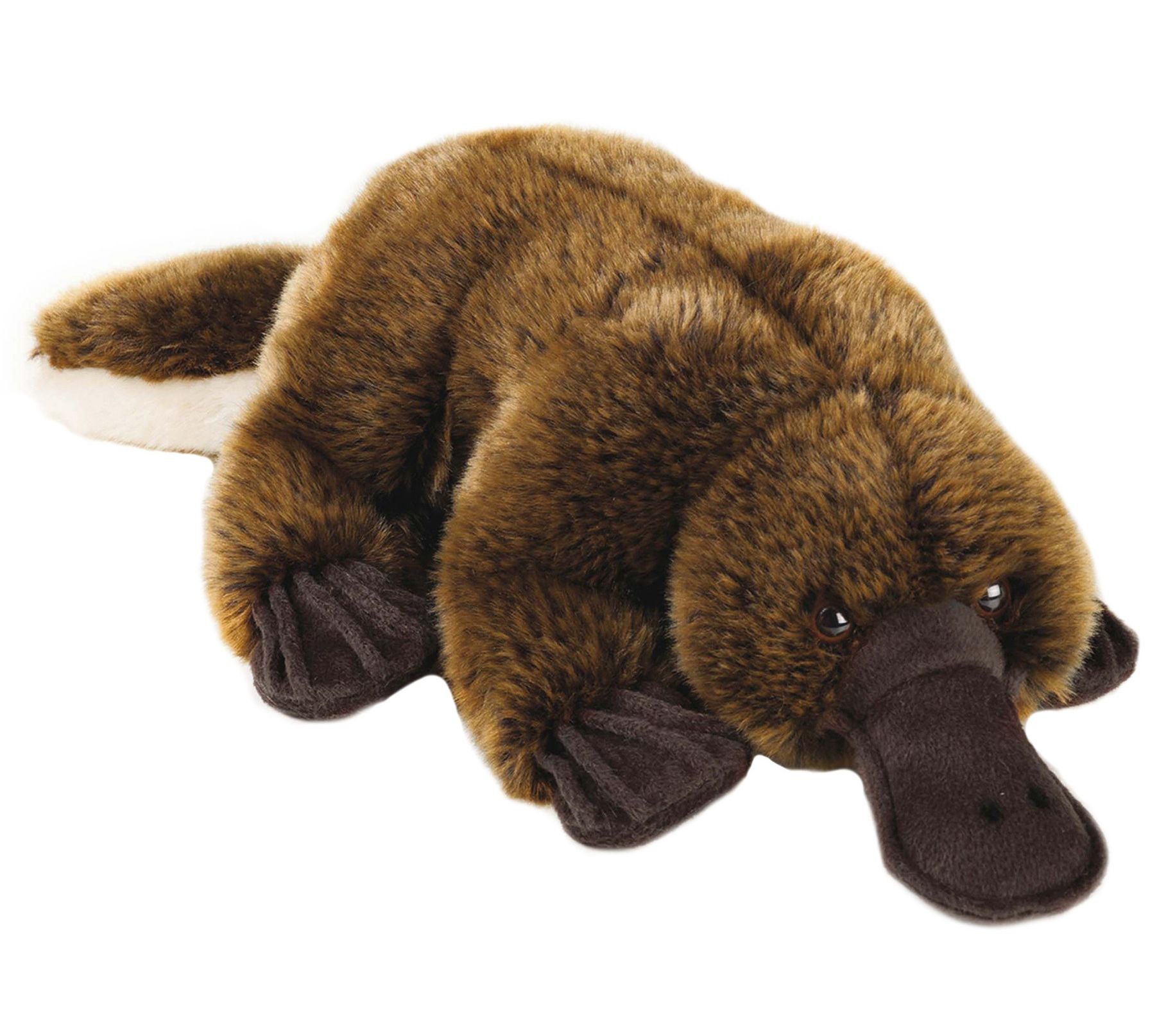 Lelly National Geographic Platypus Plush Qvc Com